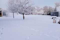 IMG-20260106-WA0004-1