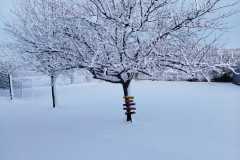 IMG-20260106-WA0005-2